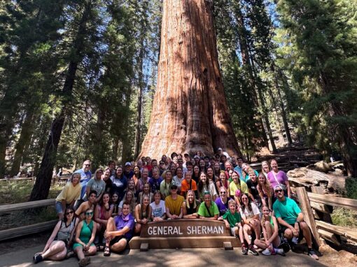 Tour Day 6 – Kings Canyon & Sequoia National Park Tour Day 6 – Kings Canyon & Sequoia National Park