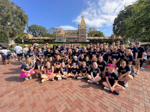 Tour Day 8 – DISNEYLAND!!! Tour Day 8 – DISNEYLAND!!!
